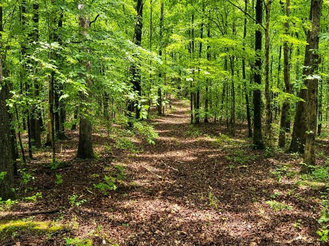 4545 Scenic Hills Ln, Franklin, TN 37064