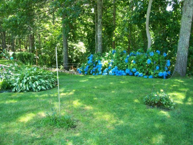 36 Island Street, East Dennis, MA 02641