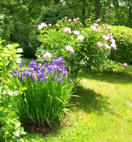 36 Island Street, East Dennis, MA 02641