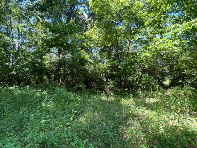 69535 Turkey Trail Drive, Milton Twp, MI 49120