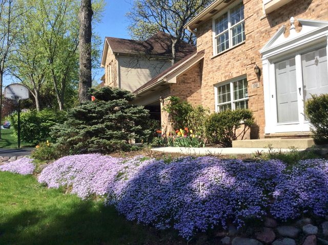 1361 Champion Forest Court, Wheaton, IL 60187