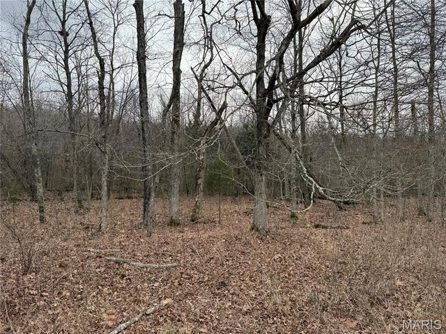 Tract 2 Madison 248, Fredericktown, MO 63645