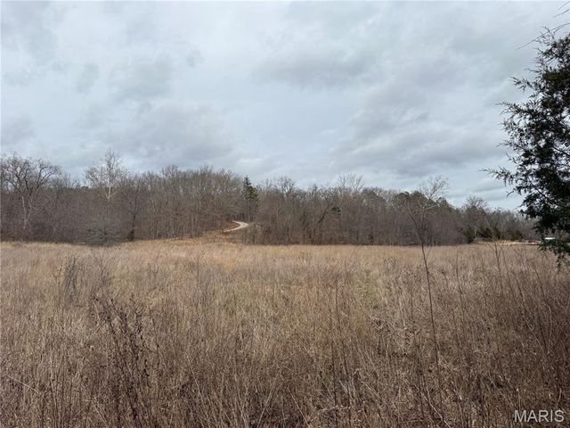 Tract 2 Madison 248, Fredericktown, MO 63645