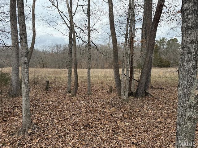 Tract 2 Madison 248, Fredericktown, MO 63645