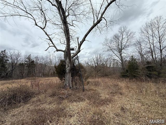 Tract 2 Madison 248, Fredericktown, MO 63645