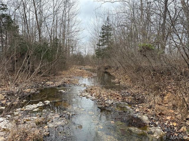 Tract 2 Madison 248, Fredericktown, MO 63645