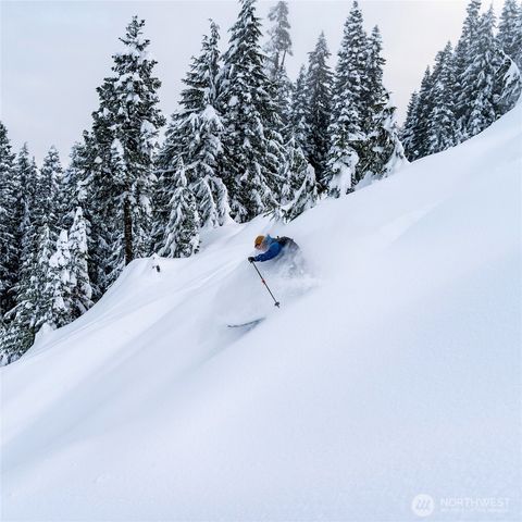 61 Pass Life Way, Snoqualmie Pass, WA 98068