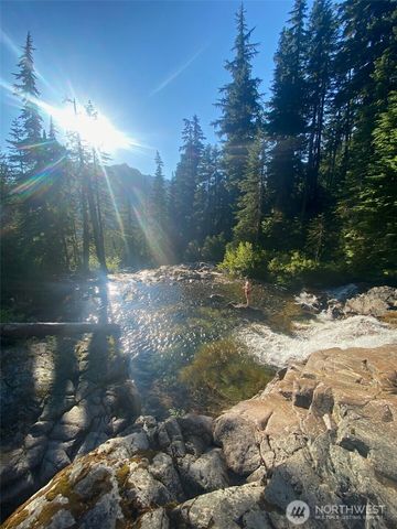 61 Pass Life Way, Snoqualmie Pass, WA 98068