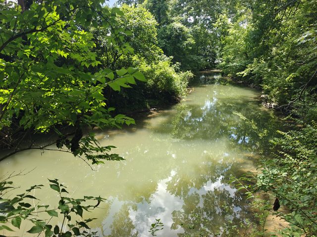 3155 W Division St, Hermitage, TN 37076