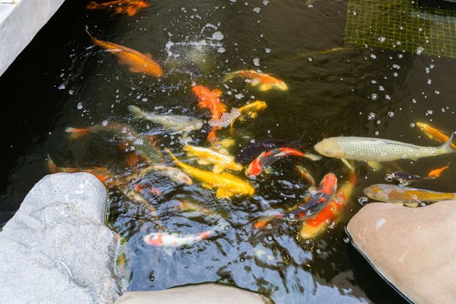 13367 Campus Dr., Oakland, CA 94619