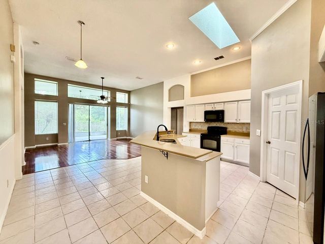 19021 WEATHERSTONE DRIVE, Tampa, FL 33647