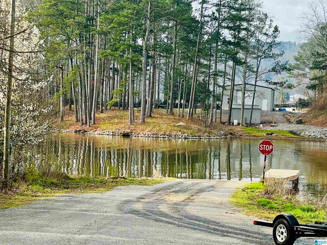 411 LAUNCH DRIVE, Ashville, AL 35953