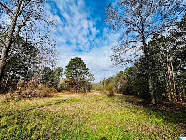 411 LAUNCH DRIVE, Ashville, AL 35953