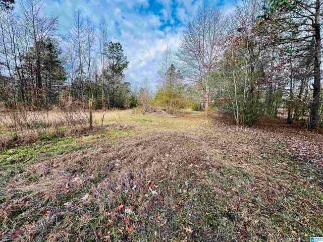 411 LAUNCH DRIVE, Ashville, AL 35953