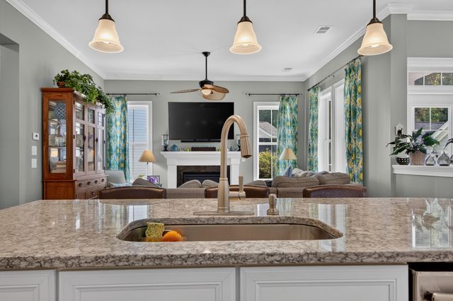 1395 Crane Creek Drive, Mount Pleasant, SC 29466