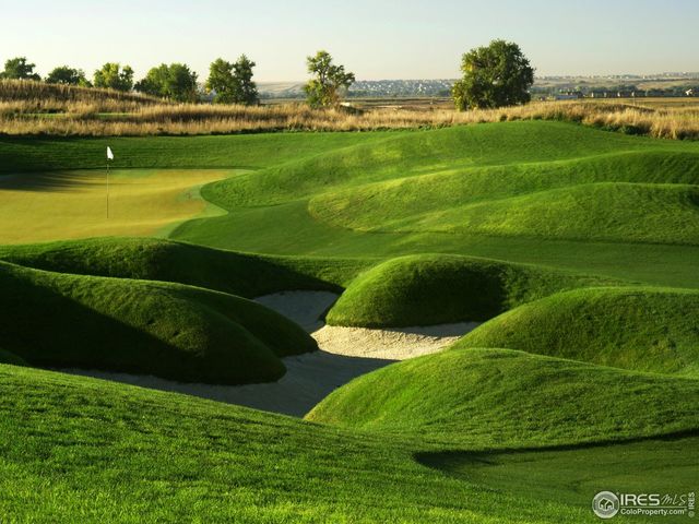 6709 Morning Song Ct, Timnath, CO 80547