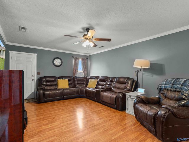160 Sophia Drive, Toney, AL 35773