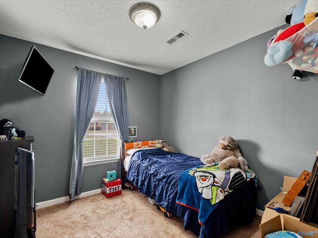 160 Sophia Drive, Toney, AL 35773