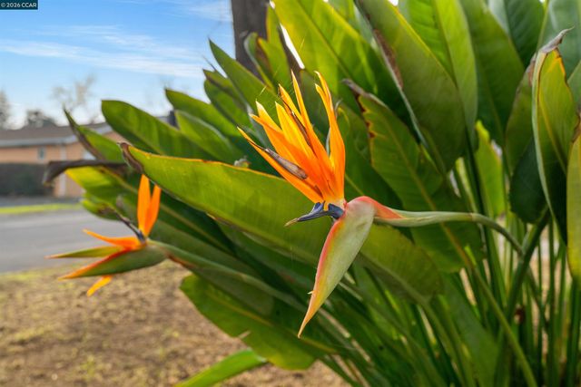 2831 Almond Street, Martinez, CA 94553