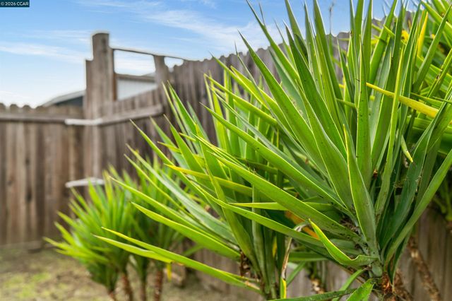 2831 Almond Street, Martinez, CA 94553