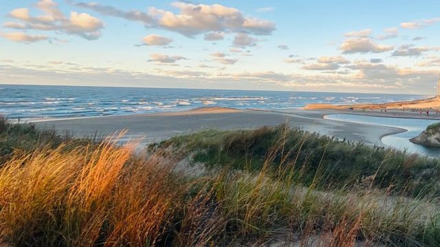 7325 Locust Avenue, Gary, IN 46403