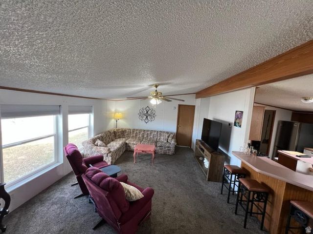 583 W 125 N, Salina, UT 84654