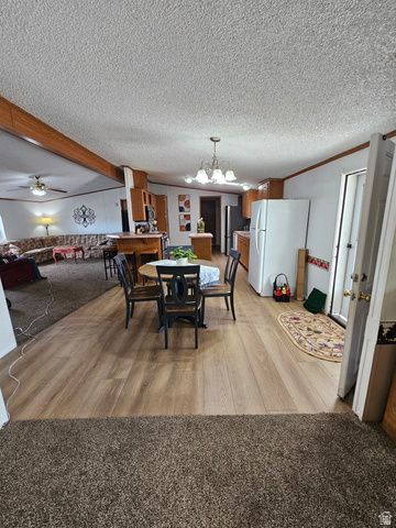 583 W 125 N, Salina, UT 84654