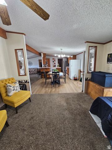 583 W 125 N, Salina, UT 84654