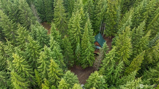 4771 Kachess Lake Road, Easton, WA 98925