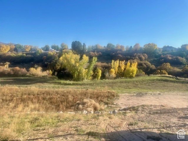 1340 E HOLLYHOCK WAY, Layton, UT 84040