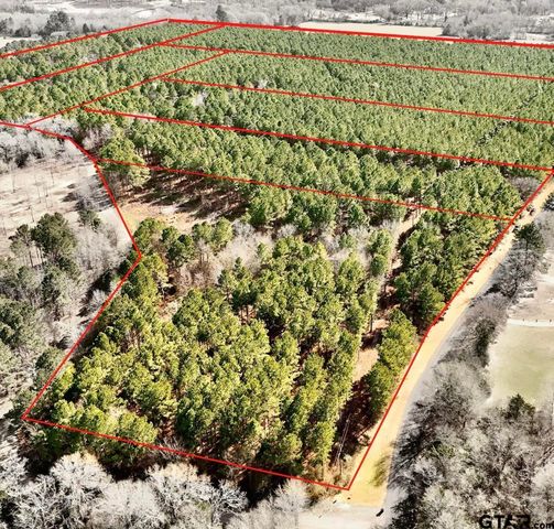 TBD CR 2138, Troup, TX 75789