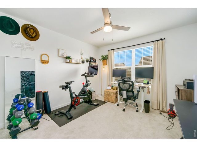 2662 Painted Turtle Ave, Loveland, CO 80538