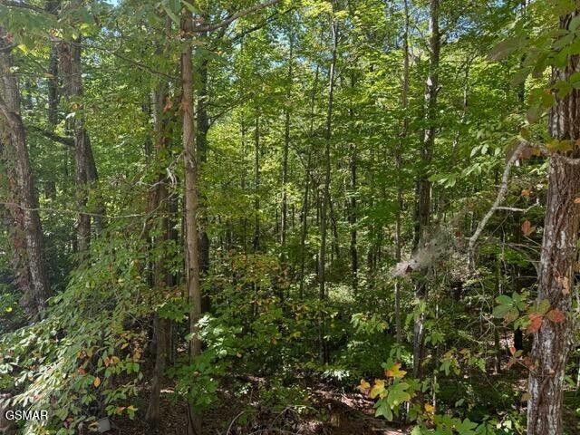 17 Deer Path Lane, Gatlinburg, TN 37738