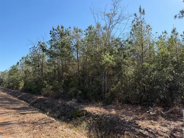 TBD Assembly Ln., Myrtle Beach, SC 29588