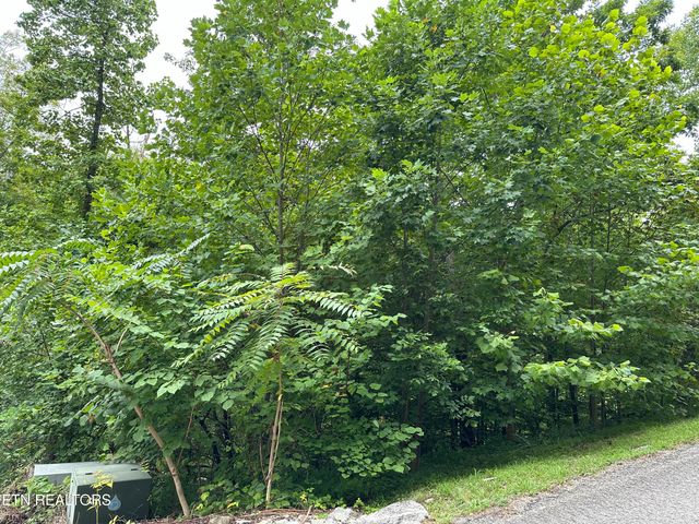 lot 21 Ridge Rd, Caryville, TN 37714