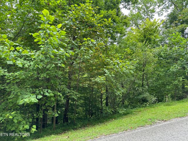 lot 21 Ridge Rd, Caryville, TN 37714