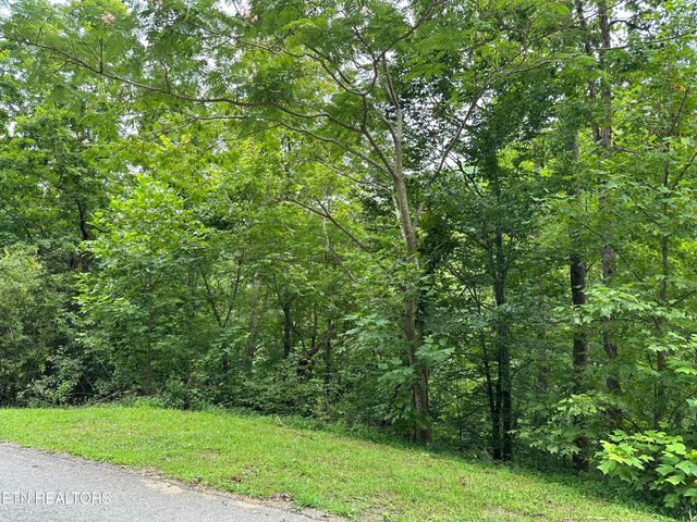 lot 21 Ridge Rd, Caryville, TN 37714