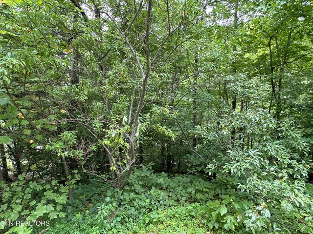 lot 21 Ridge Rd, Caryville, TN 37714