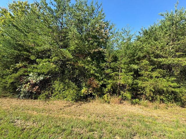 114 Blackhawk Lane, Turtletown, TN 37391