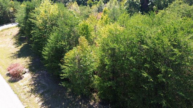 114 Blackhawk Lane, Turtletown, TN 37391