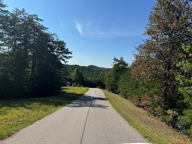 114 Blackhawk Lane, Turtletown, TN 37391