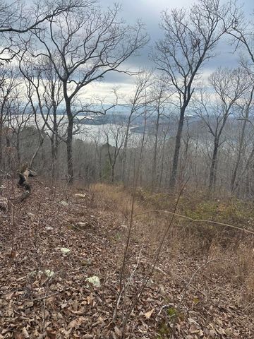 Lot 13 Bluffs North Road 13, South Pittsburg, TN 37380