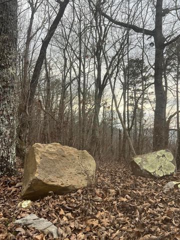 Lot 13 Bluffs North Road 13, South Pittsburg, TN 37380