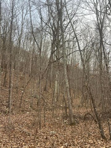 Lot 13 Bluffs North Road 13, South Pittsburg, TN 37380