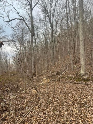 Lot 13 Bluffs North Road 13, South Pittsburg, TN 37380