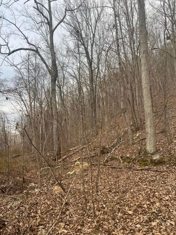 Lot 13 Bluffs North Road 13, South Pittsburg, TN 37380
