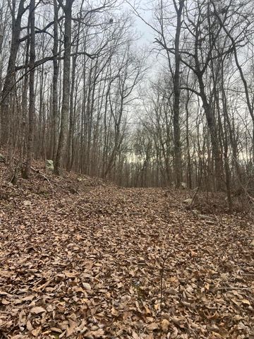 Lot 13 Bluffs North Road 13, South Pittsburg, TN 37380