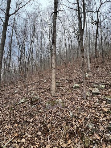 Lot 13 Bluffs North Road 13, South Pittsburg, TN 37380