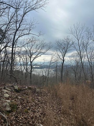 Lot 13 Bluffs North Road 13, South Pittsburg, TN 37380
