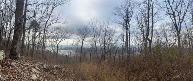 Lot 13 Bluffs North Road 13, South Pittsburg, TN 37380